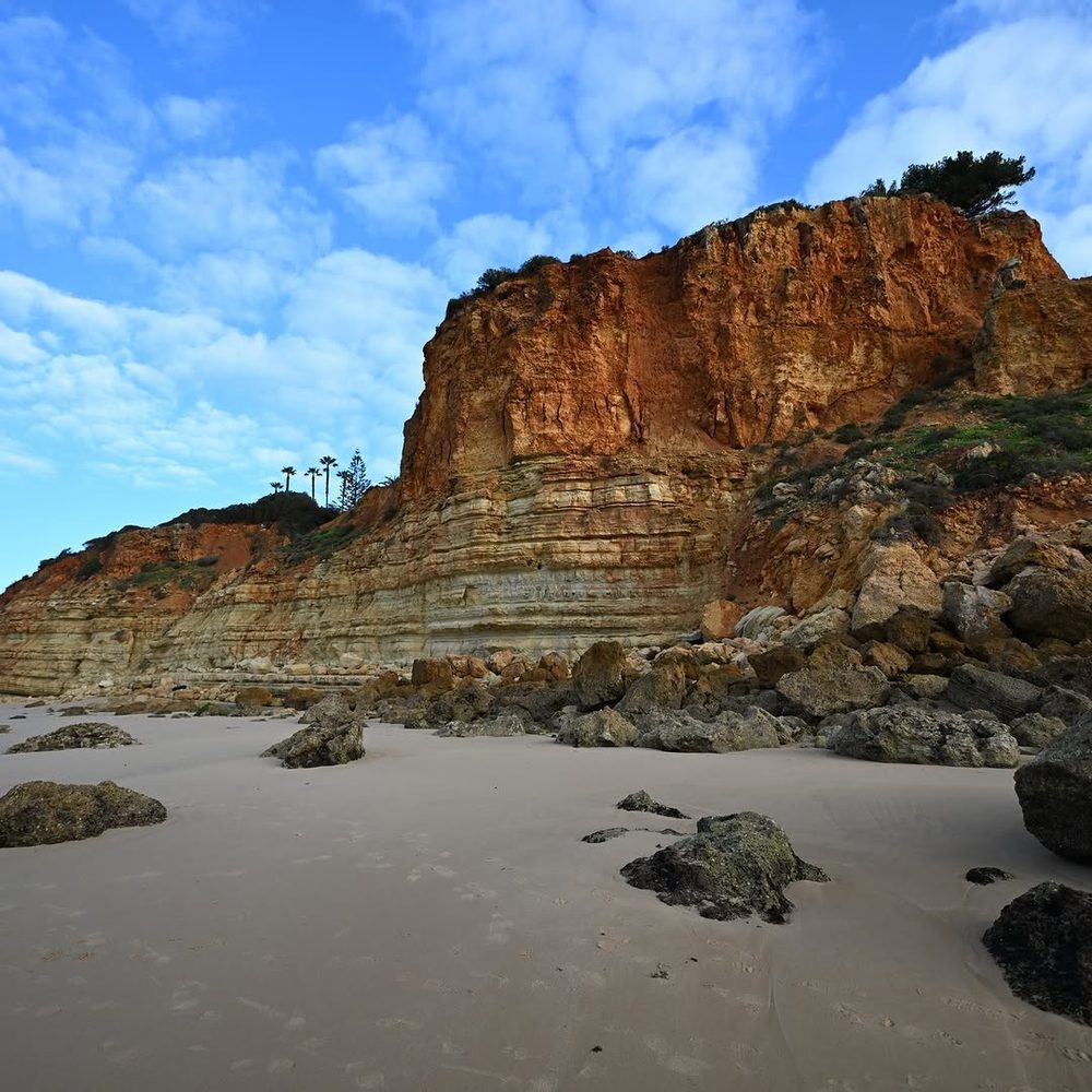 Photograph by Daniel Goron.